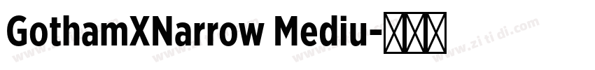 GothamXNarrow Mediu字体转换